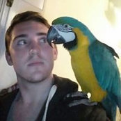 Photo de Dylan Grimshaw