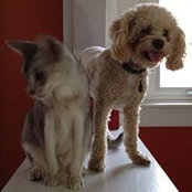 Pj O'reilly's photo