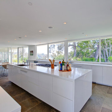 Brentwood Hills Modern Construction
