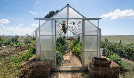 Tout ce qu'il faut savoir avant de réaliser son premier potager