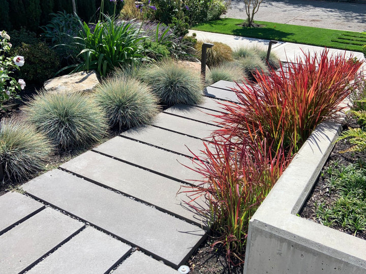 Contemporary Landscape