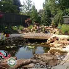 Koi Pond