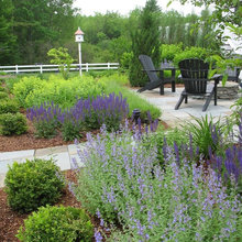 patio landscape
