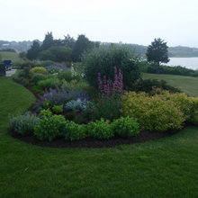 Landscape Ideas