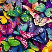 Photo de Kathy Friddle
