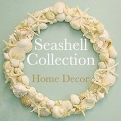 The Seashell Collection