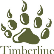 Timberline Contracting, Inc's photo