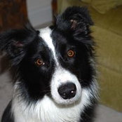 Olga Simoncelli's photo