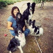 Amie Lambert's photo