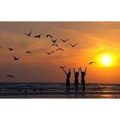 Mollie Morris's photo