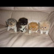 Michelle Loy's photo