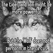 Arman Ahmadi's photo