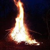 Tim Mellentine's photo