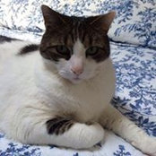 Cathy Holly's photo