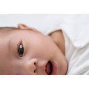Lem Liping's photo
