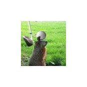 Ben Kilah's photo