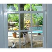 Michelle Beckwith's photo