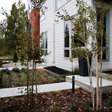 Previous Landscaping Projects