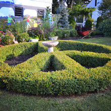 landscaping ideas