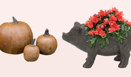 Fall Front Door Decor Under $100