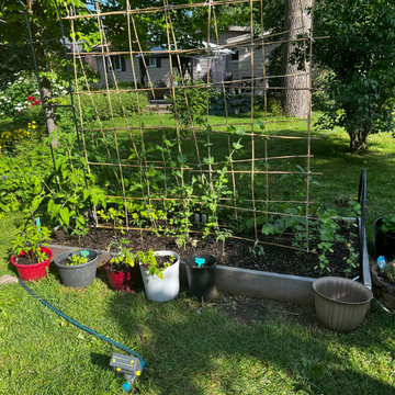 Bryan Drive Garden Refresh