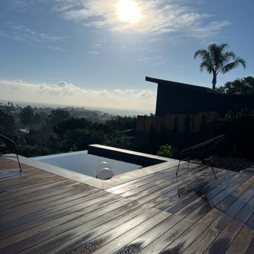 Pool & Backyard