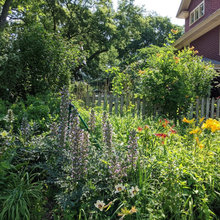 Yards