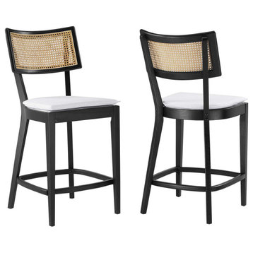 Caledonia Wood Counter Stools - Set of 2 in Black White