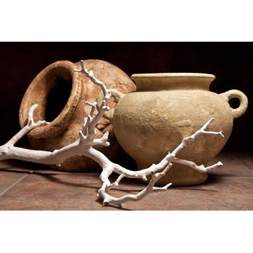 Fine Art Photograph, Pottery with Branch II, Fine Art Paper Giclee