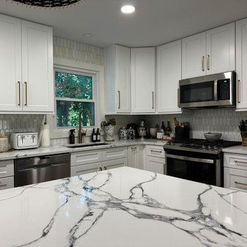 Main Level Renovations
