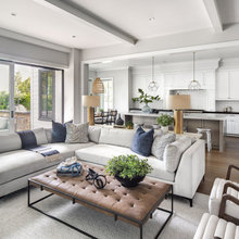 Living Room Ideas