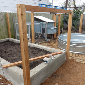 Urban Farm with Chickens
