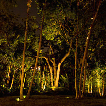 Landscape Lighting