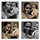Nadia G