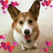 Kristine Mihm Lambert's photo
