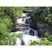 John Young's photo