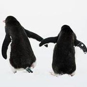 Amanda Evert's photo