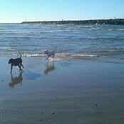 Tricia Gumulka's photo