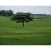 Everdina Ruiz's photo