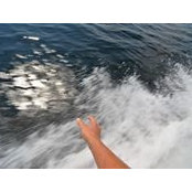 Colen Colthurst's photo