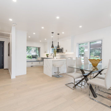 Kitchener Open Plan Kitchen Renovation