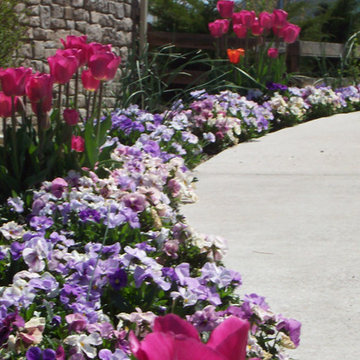 Color Gardens