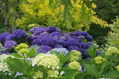 Inspiration for a traditional landscaping in Orange County.