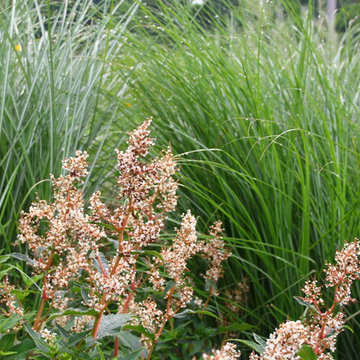 The DPG Farm Gardens, East Vincent Township