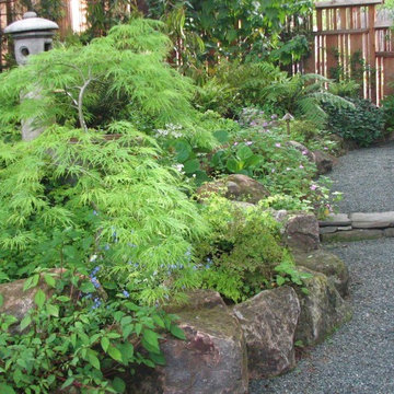 Urban Gardens