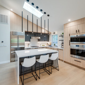 Modern House