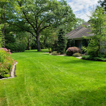 Design around existing trees