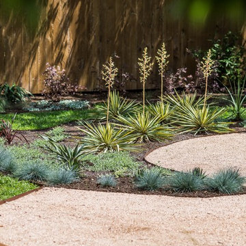 Brentwood Burle Marx Tribute