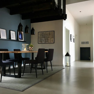 ハノーファーの広いコンテンポラリースタイルのLDKの画像 (白い壁、クッションフロア、グレーの床)