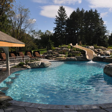 Custom Free Form Pool with Swim Up Bar